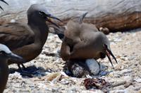 Australien - Impressionen