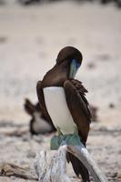 Australien Impressionen