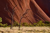 Australien - Uluru