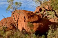 Australien - Uluru Regenbogenschlange Wanambi 