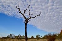 Australien - Uluru