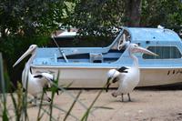 Australien Impressionen