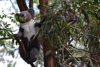 Australien Impressionen