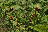 Australien Impressionen