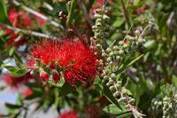 Australien Impressionen