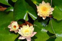 Neuseeland Impressionen