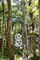 Neuseeland - Skulpturenwald