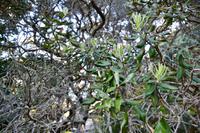 Neuseeland Impressionen