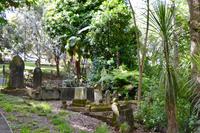 Neuseeland Impressionen