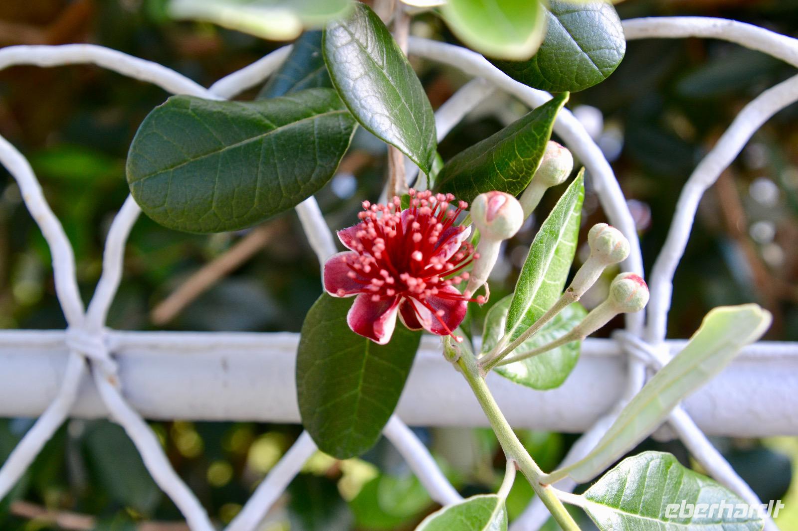 Neuseeland Impressionen