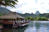 Französisch Polynesien - Moorea