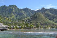 Moorea Impressionen