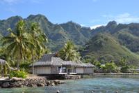 Moorea Impressionen