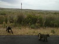 Kap der Guten Hoffnung