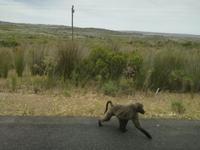 Kap der Guten Hoffnung