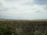 Kap der Guten Hoffnung