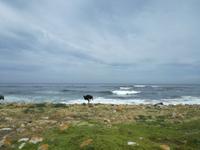 Kap der Guten Hoffnung