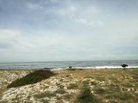 Kap der Guten Hoffnung