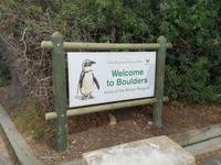 Boulders Beach