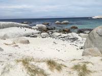 Boulders Beach