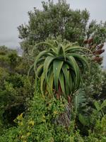 Tsitsikamma-Nationalpark