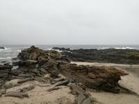 Tsitsikamma-Nationalpark