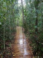 Tsitsikamma-Nationalpark