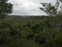 Kariega Nationalpark
