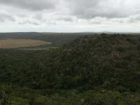 Kariega Nationalpark