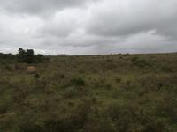 Kariega Nationalpark