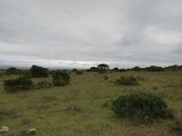 Kariega Nationalpark