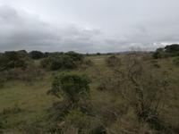 Kariega Nationalpark