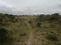 Kariega Nationalpark