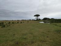 Kariega Nationalpark