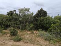 Kariega Nationalpark