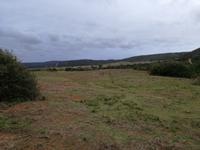 Kariega Nationalpark