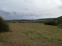 Kariega Nationalpark