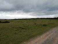 Kariega Nationalpark