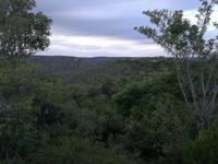 Kariega Nationalpark