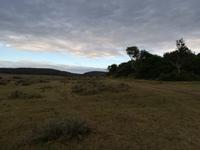 Kariega Nationalpark