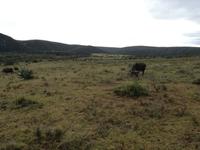 Kariega Nationalpark