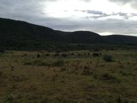 Kariega Nationalpark