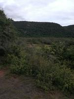 Kariega Nationalpark