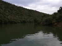 Kariega Nationalpark