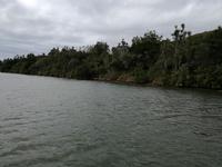 Kariega Nationalpark