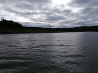 Kariega Nationalpark