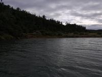 Kariega Nationalpark