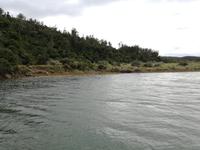 Kariega Nationalpark