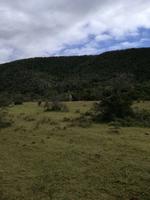 Kariega Nationalpark