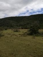 Kariega Nationalpark